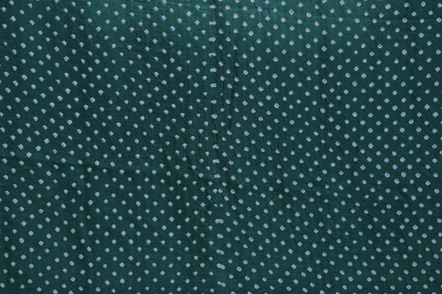 Ombre Green - Pure Gaji Silk Bandhni Saree