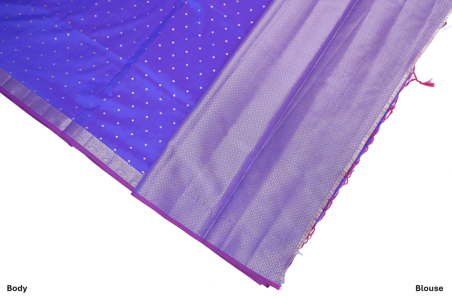 NeelChappa Katan Silk Saree