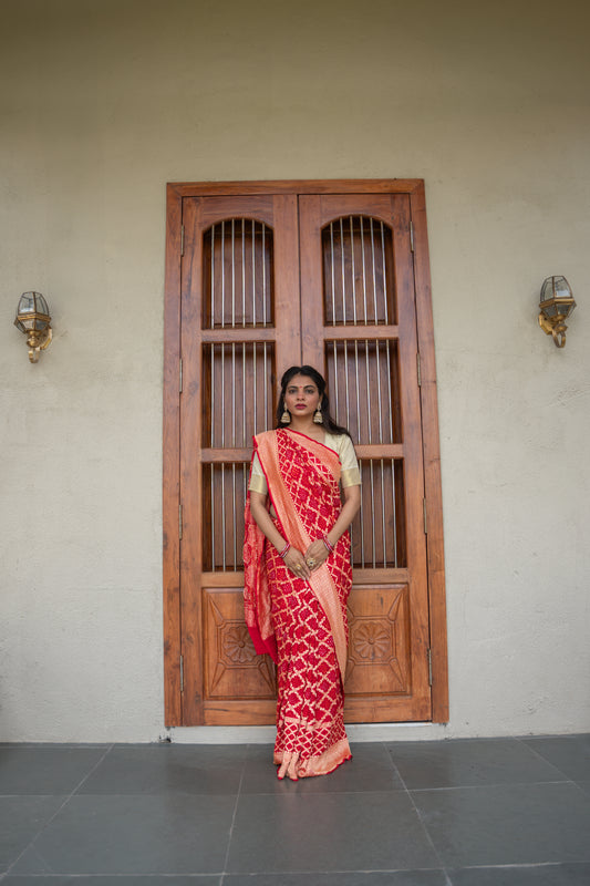 Rajsi Bandhan - Banarasi Bandhni Saree