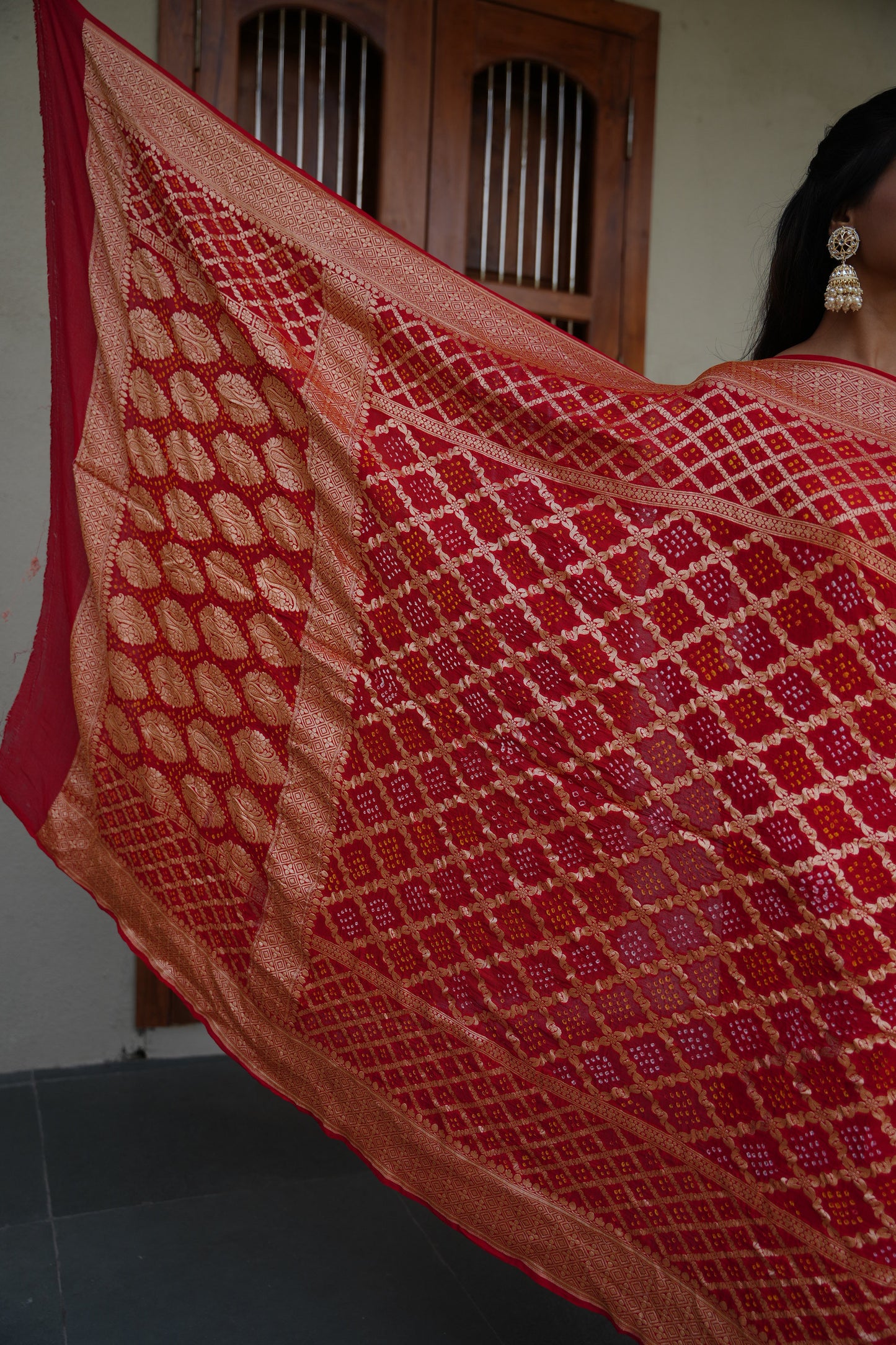 Rajsi Banshan - Banarasi Bandhni Saree