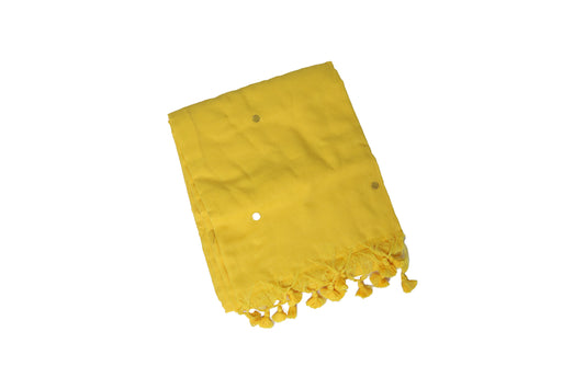 Sequin Cotton Saree