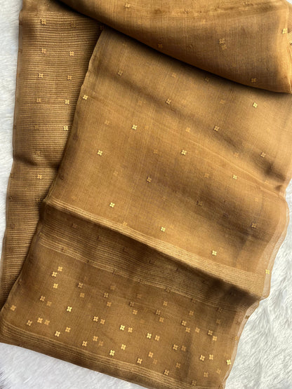 Pure Muslin Silk Sequin  Saree